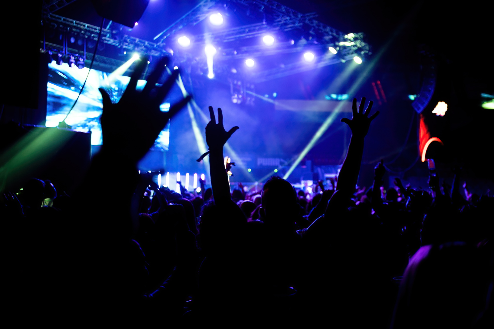 Público de un concierto en el Buesa Arena